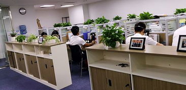 湖南企業管理咨詢行業 賦能企業成長，驅動區域經濟新篇章